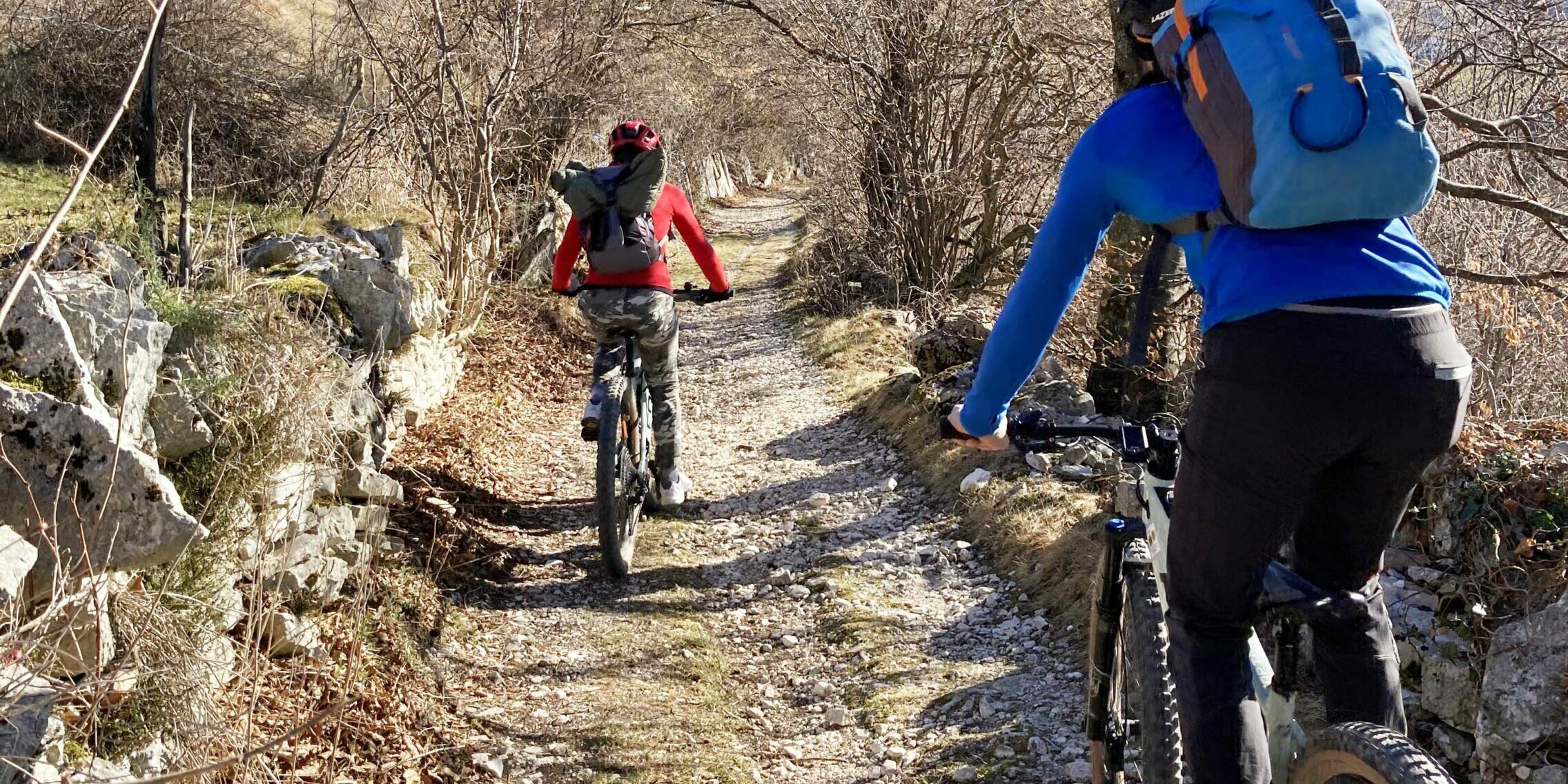 facili percorsi lessinia in bici elettrica